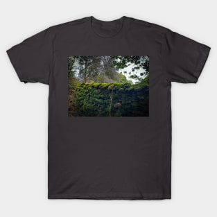 Lake District Wall T-Shirt